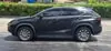 Florida Fine Cars - Used LEXUS NX 2021 MARGATE NX 300
