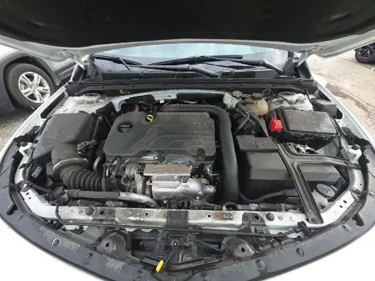 Florida Fine Cars - Used CHEVROLET MALIBU 2023 WEST PALM LT