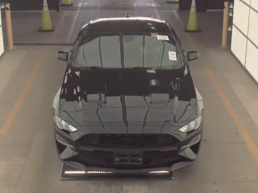 Florida Fine Cars - Used FORD MUSTANG 2022 ORLANDO ECOBOOST