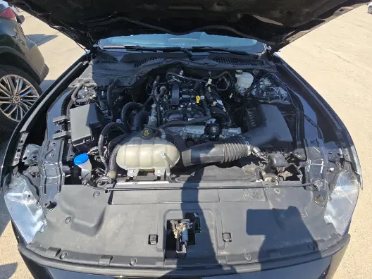Florida Fine Cars - Used FORD MUSTANG 2022 ORLANDO ECOBOOST