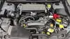 Florida Fine Cars - Used SUBARU WRX 2022 MIAMI LIMITED