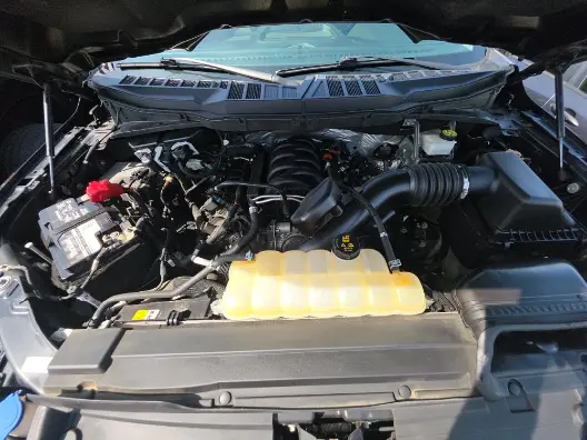Florida Fine Cars - Used FORD F-150 2021 WEST PALM XLT