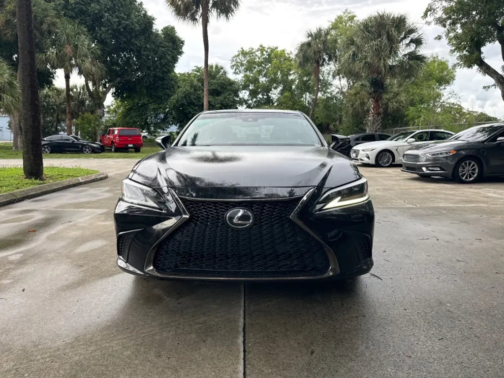 Florida Fine Cars - Used LEXUS ES 2019 WEST PALM ES 350 F SPORT