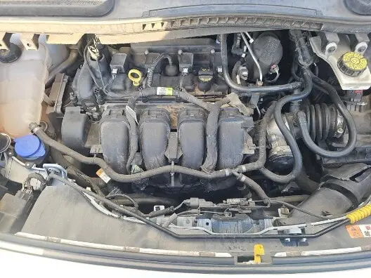 Florida Fine Cars - Used FORD TRANSIT CONNECT VAN 2020 ORLANDO XL