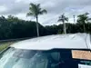 Florida Fine Cars - Used FORD F-150 2021 ORLANDO XL