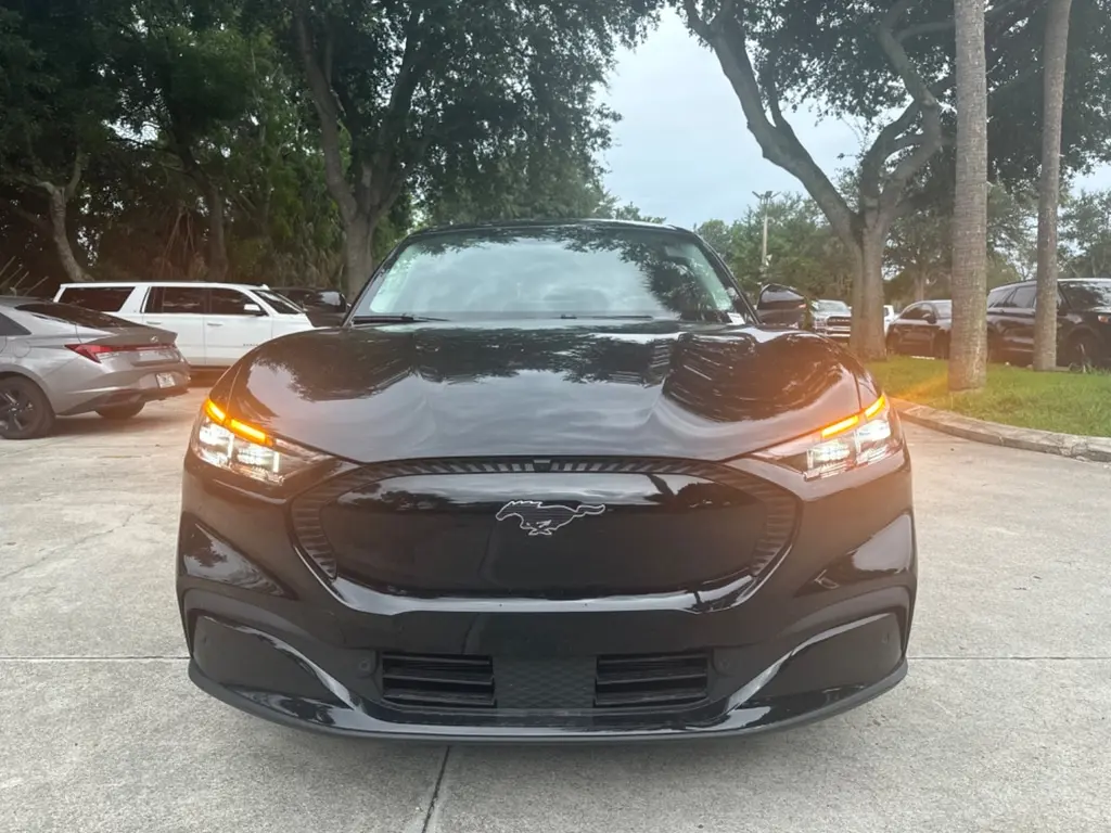Florida Fine Cars - Used FORD MUSTANG MACH-E 2024 WEST PALM SELECT