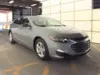 Florida Fine Cars - Used CHEVROLET MALIBU 2024 MIAMI LS