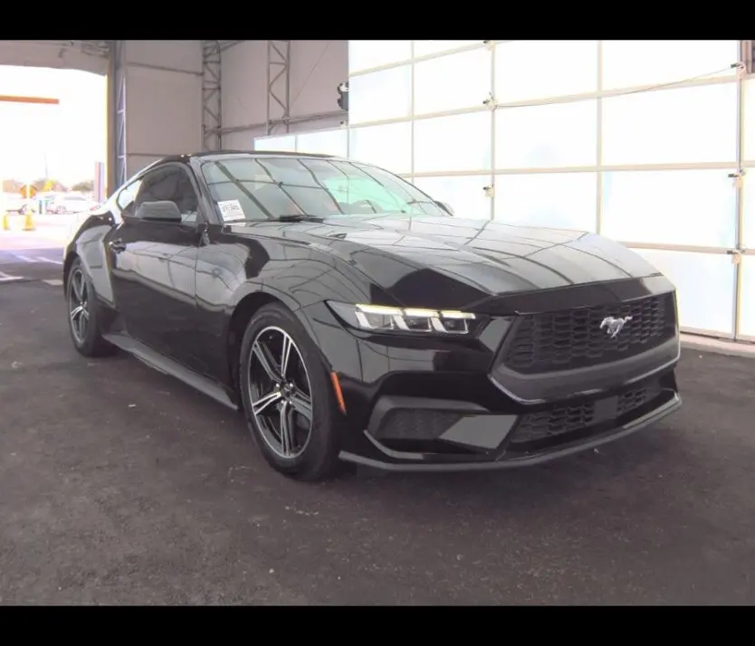 Florida Fine Cars - Used FORD MUSTANG 2024 ORLANDO ECOBOOST