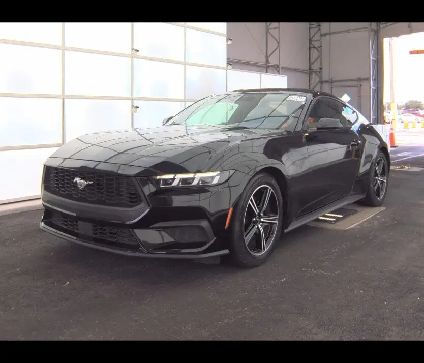 Florida Fine Cars - Used FORD MUSTANG 2024 ORLANDO ECOBOOST