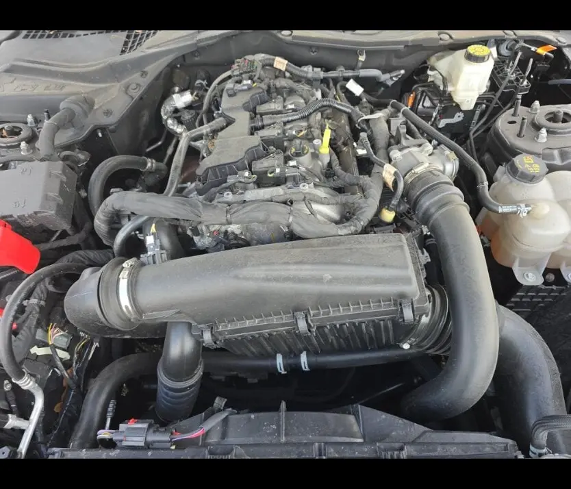 Florida Fine Cars - Used FORD MUSTANG 2024 ORLANDO ECOBOOST