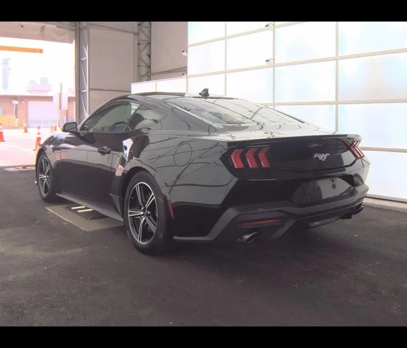 Florida Fine Cars - Used FORD MUSTANG 2024 ORLANDO ECOBOOST