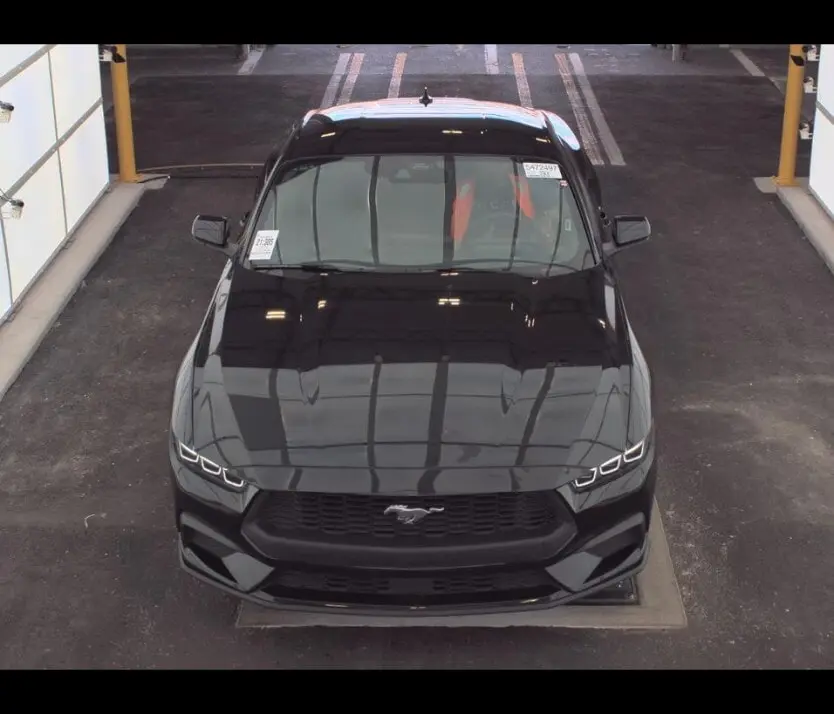 Florida Fine Cars - Used FORD MUSTANG 2024 ORLANDO ECOBOOST