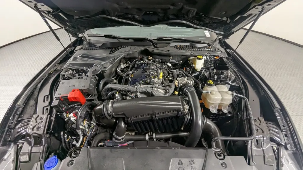 Florida Fine Cars - Used FORD MUSTANG 2024 ORLANDO ECOBOOST