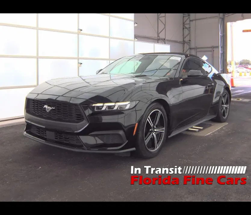 Florida Fine Cars - Used FORD MUSTANG 2024 ORLANDO ECOBOOST