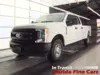 Florida Fine Cars - Used FORD SUPER DUTY F-250 SRW 2021 WEST PALM XL