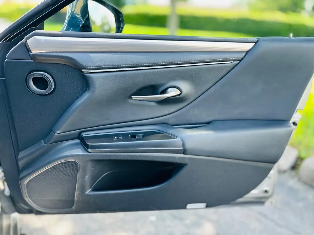Florida Fine Cars - Used LEXUS ES 2019 MIAMI ES 350 F SPORT