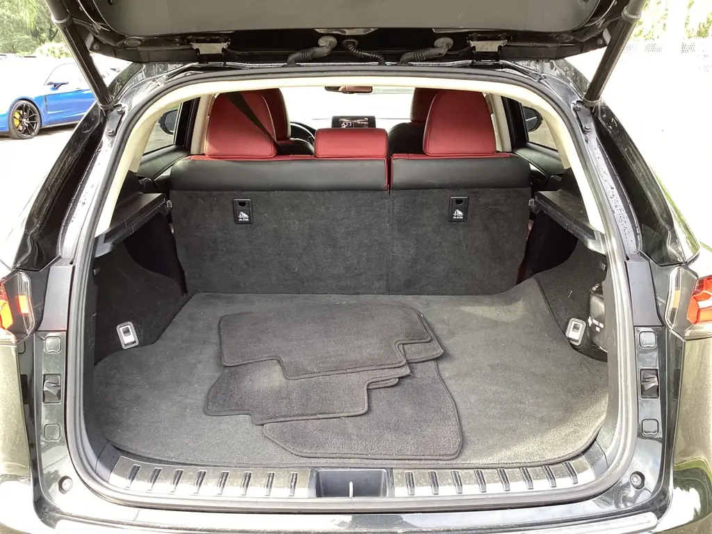 Florida Fine Cars - Used LEXUS NX 2020 ORLANDO NX 300