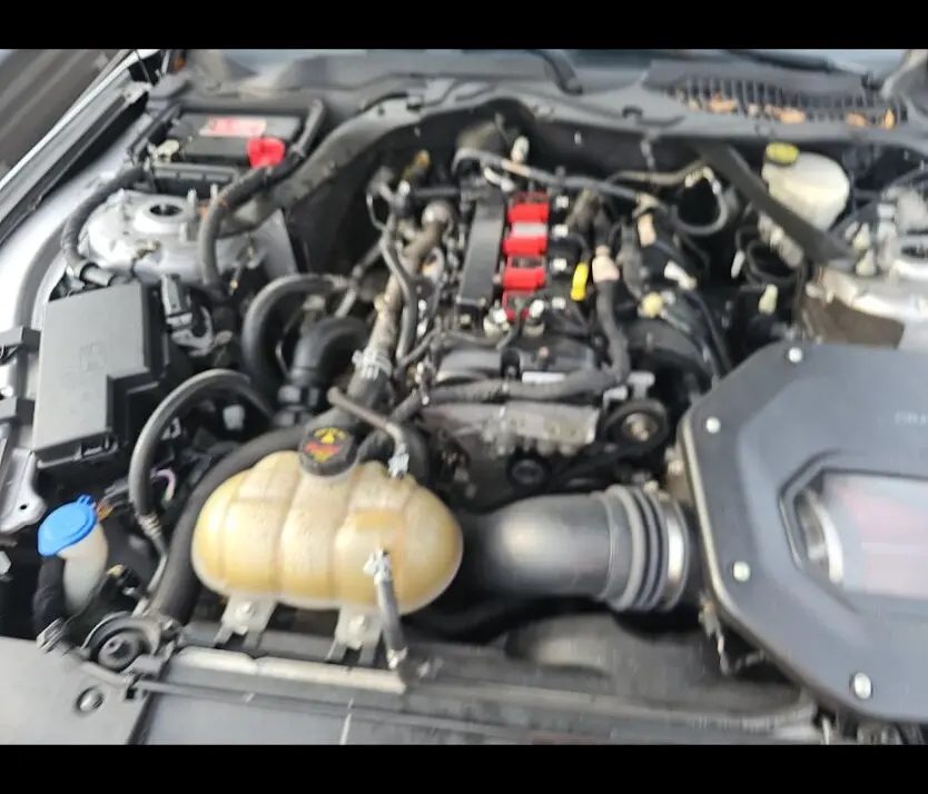 Florida Fine Cars - Used FORD MUSTANG 2020 WEST PALM ECOBOOST