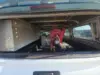 Florida Fine Cars - Used TOYOTA TACOMA 2WD 2020 MARGATE SR