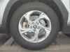Florida Fine Cars - Used HYUNDAI TUCSON 2024 WEST PALM SEL
