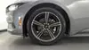 Florida Fine Cars - Used FORD MUSTANG 2024 WEST PALM ECOBOOST