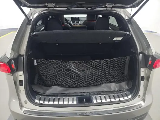 Florida Fine Cars - Used LEXUS NX 2020 MARGATE NX 300 F SPORT