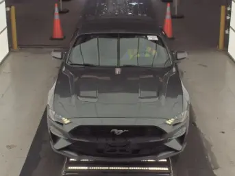Florida Fine Cars - Used FORD MUSTANG 2019 ORLANDO ECOBOOST PREMIUM