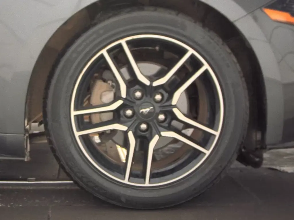 Florida Fine Cars - Used FORD MUSTANG 2019 ORLANDO ECOBOOST PREMIUM