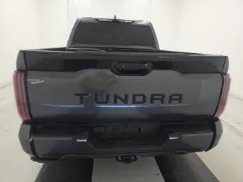 Florida Fine Cars - Used TOYOTA TUNDRA 2WD 2023 ORLANDO PLATINUM