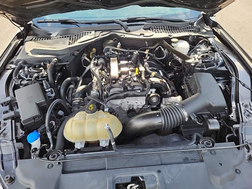 Florida Fine Cars - Used FORD MUSTANG 2021 WEST PALM ECOBOOST PREMIUM