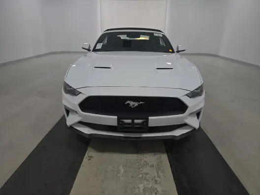 Florida Fine Cars - Used FORD MUSTANG 2023 MIAMI ECOBOOST PREMIUM