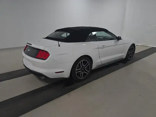 Florida Fine Cars - Used FORD MUSTANG 2023 MIAMI ECOBOOST PREMIUM