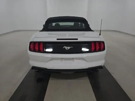 Florida Fine Cars - Used FORD MUSTANG 2023 MIAMI ECOBOOST PREMIUM
