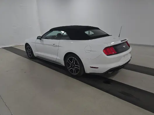 Florida Fine Cars - Used FORD MUSTANG 2023 MIAMI ECOBOOST PREMIUM