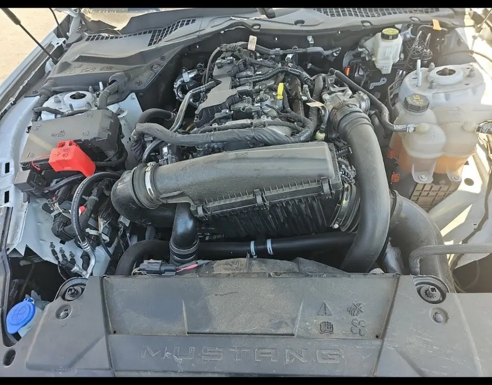 Florida Fine Cars - Used FORD MUSTANG 2024 ORLANDO ECOBOOST