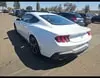 Florida Fine Cars - Used FORD MUSTANG 2024 ORLANDO ECOBOOST
