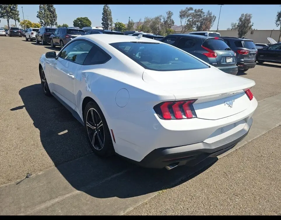 Florida Fine Cars - Used FORD MUSTANG 2024 ORLANDO ECOBOOST