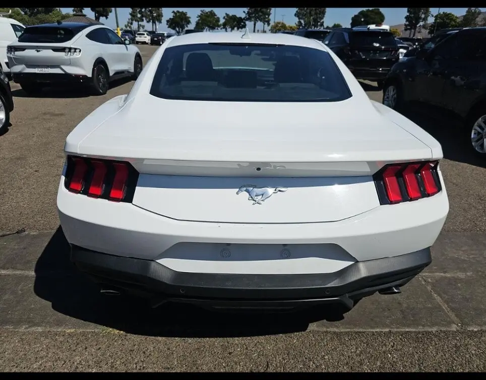 Florida Fine Cars - Used FORD MUSTANG 2024 ORLANDO ECOBOOST