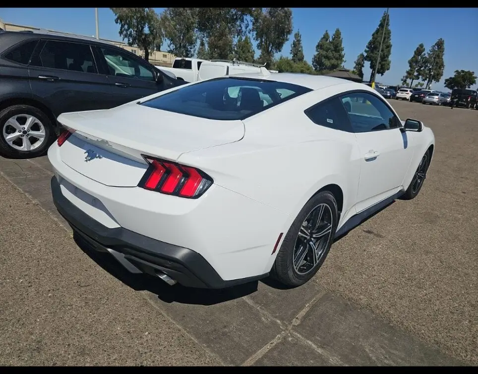Florida Fine Cars - Used FORD MUSTANG 2024 ORLANDO ECOBOOST