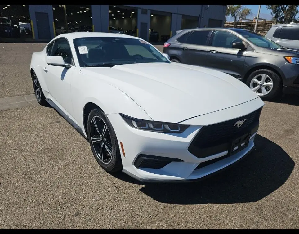 Florida Fine Cars - Used FORD MUSTANG 2024 ORLANDO ECOBOOST