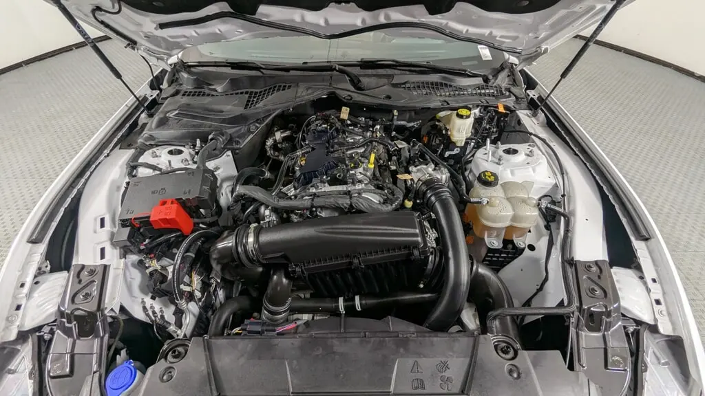 Florida Fine Cars - Used FORD MUSTANG 2024 ORLANDO ECOBOOST
