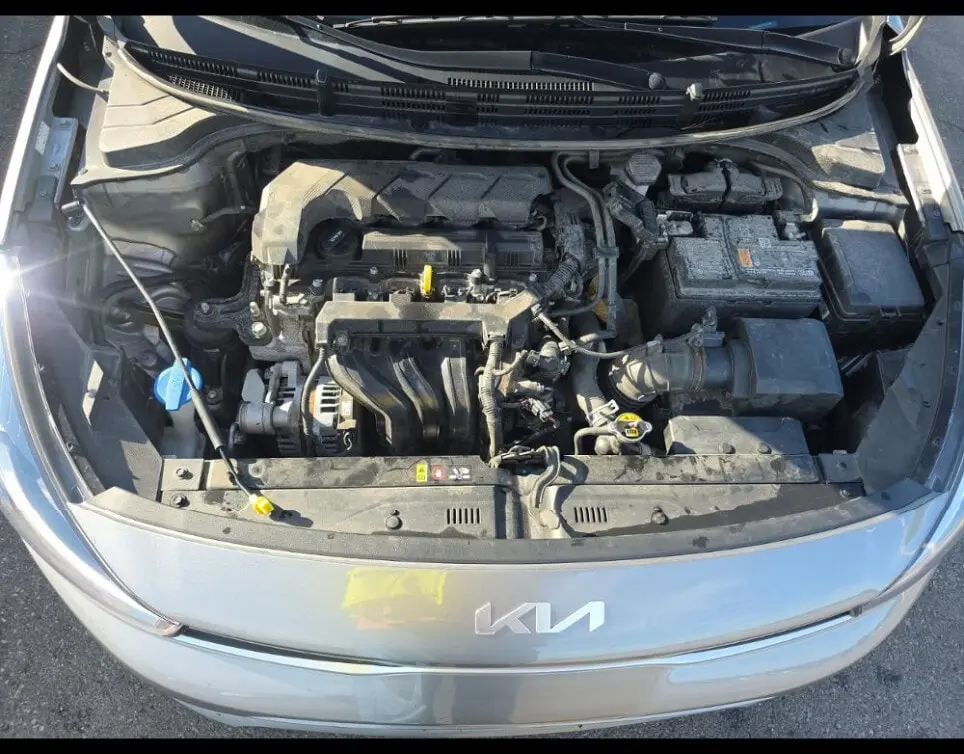 Florida Fine Cars - Used KIA RIO 2023 MARGATE S