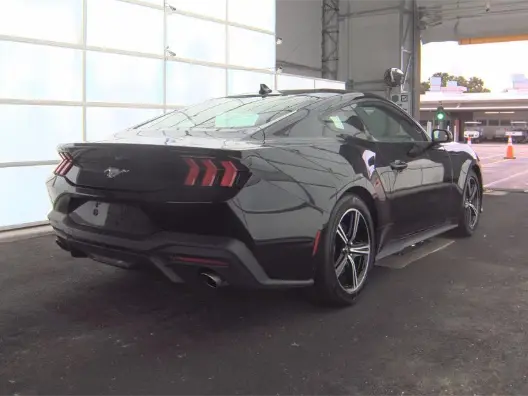 Florida Fine Cars - Used FORD MUSTANG 2024 MIAMI ECOBOOST