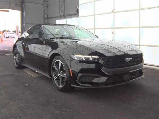 Florida Fine Cars - Used FORD MUSTANG 2024 MIAMI ECOBOOST