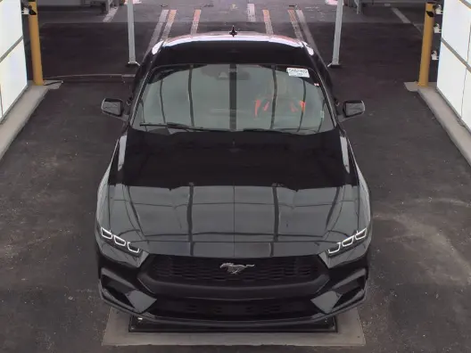 Florida Fine Cars - Used FORD MUSTANG 2024 MIAMI ECOBOOST