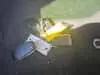 Florida Fine Cars - Used TOYOTA GR86 2022 ORLANDO 