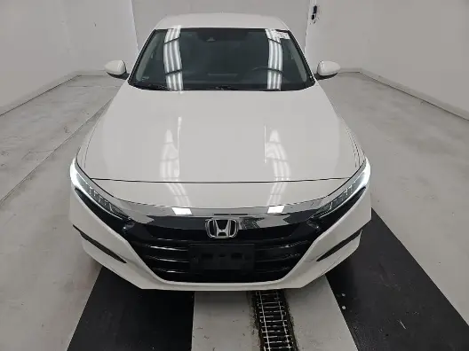 Florida Fine Cars - Used HONDA ACCORD 2019 ORLANDO LX 1.5T