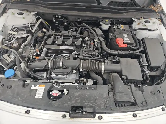 Florida Fine Cars - Used HONDA ACCORD 2019 ORLANDO LX 1.5T