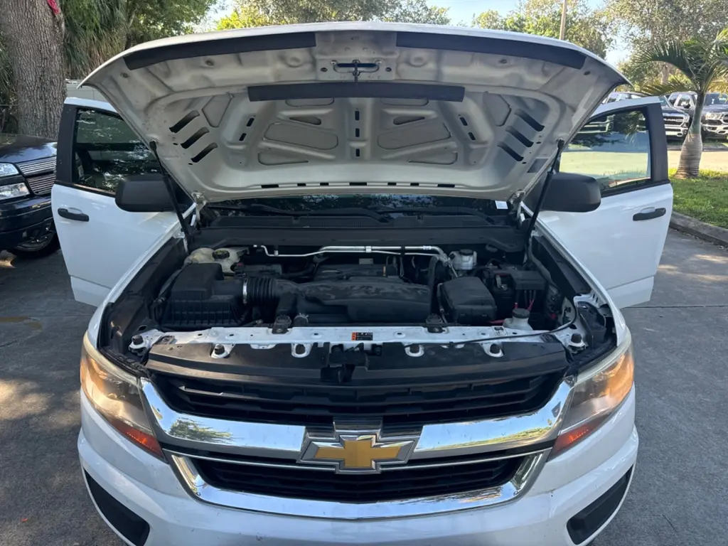 Florida Fine Cars - Used CHEVROLET COLORADO 2019 WEST PALM 2WD WORK TRUCK