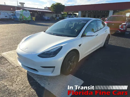Florida Fine Cars - Used TESLA MODEL 3 2023 WEST PALM 